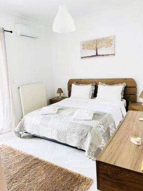 Central Family Apartment